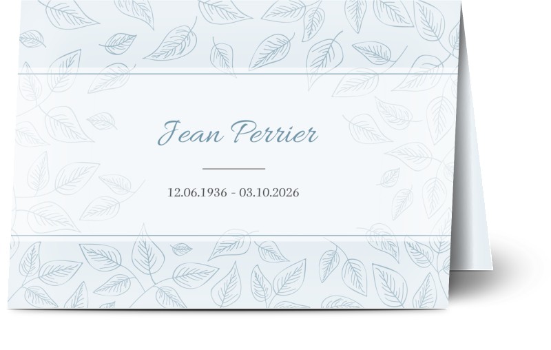 item preview