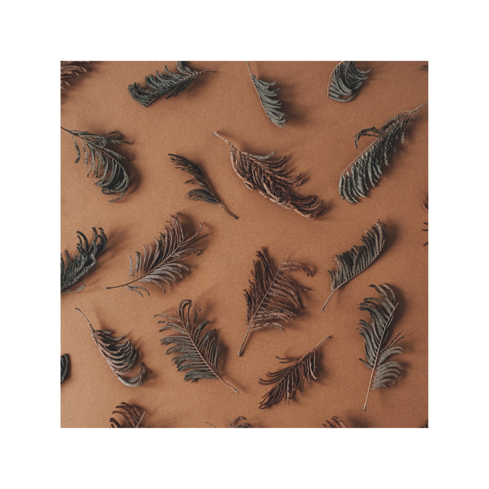 item preview