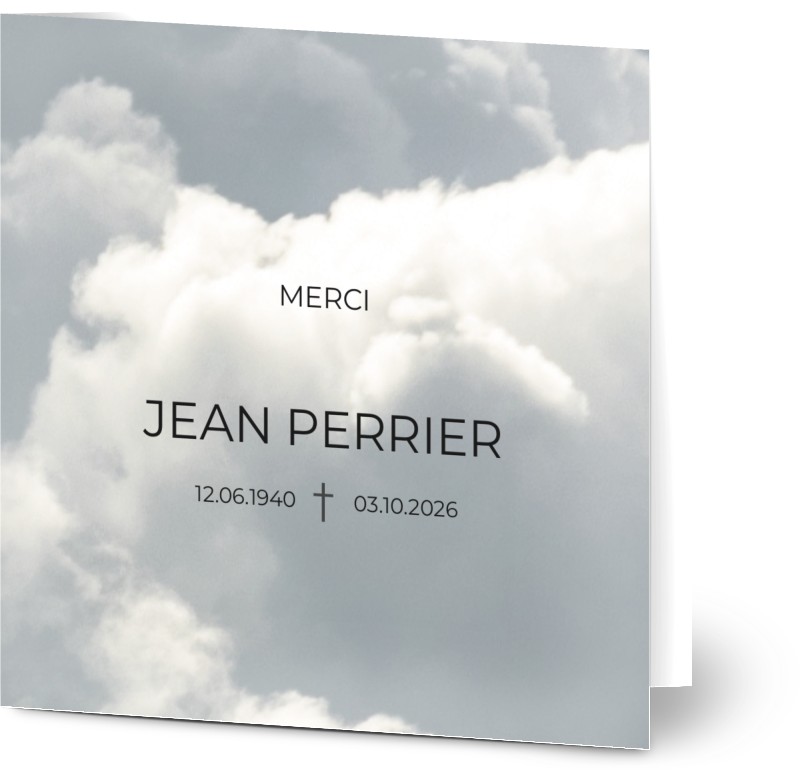 item preview