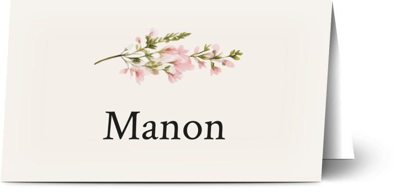 item preview