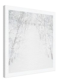 item preview