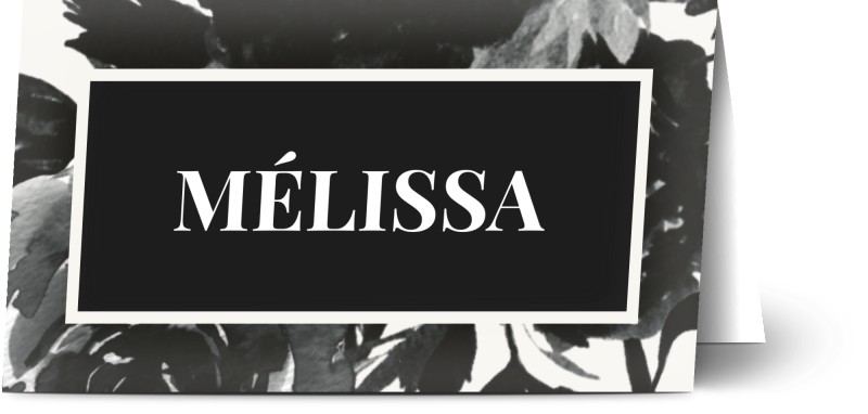 item preview