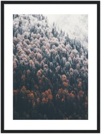 item preview