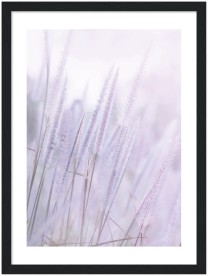 item preview