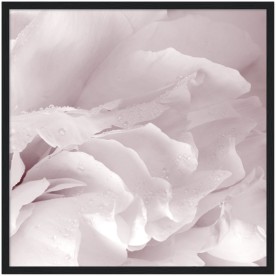 item preview