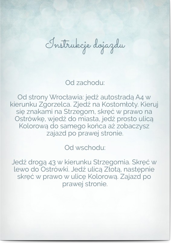 item preview