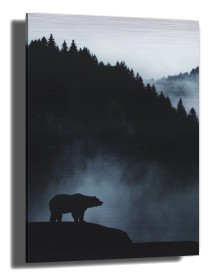 item preview
