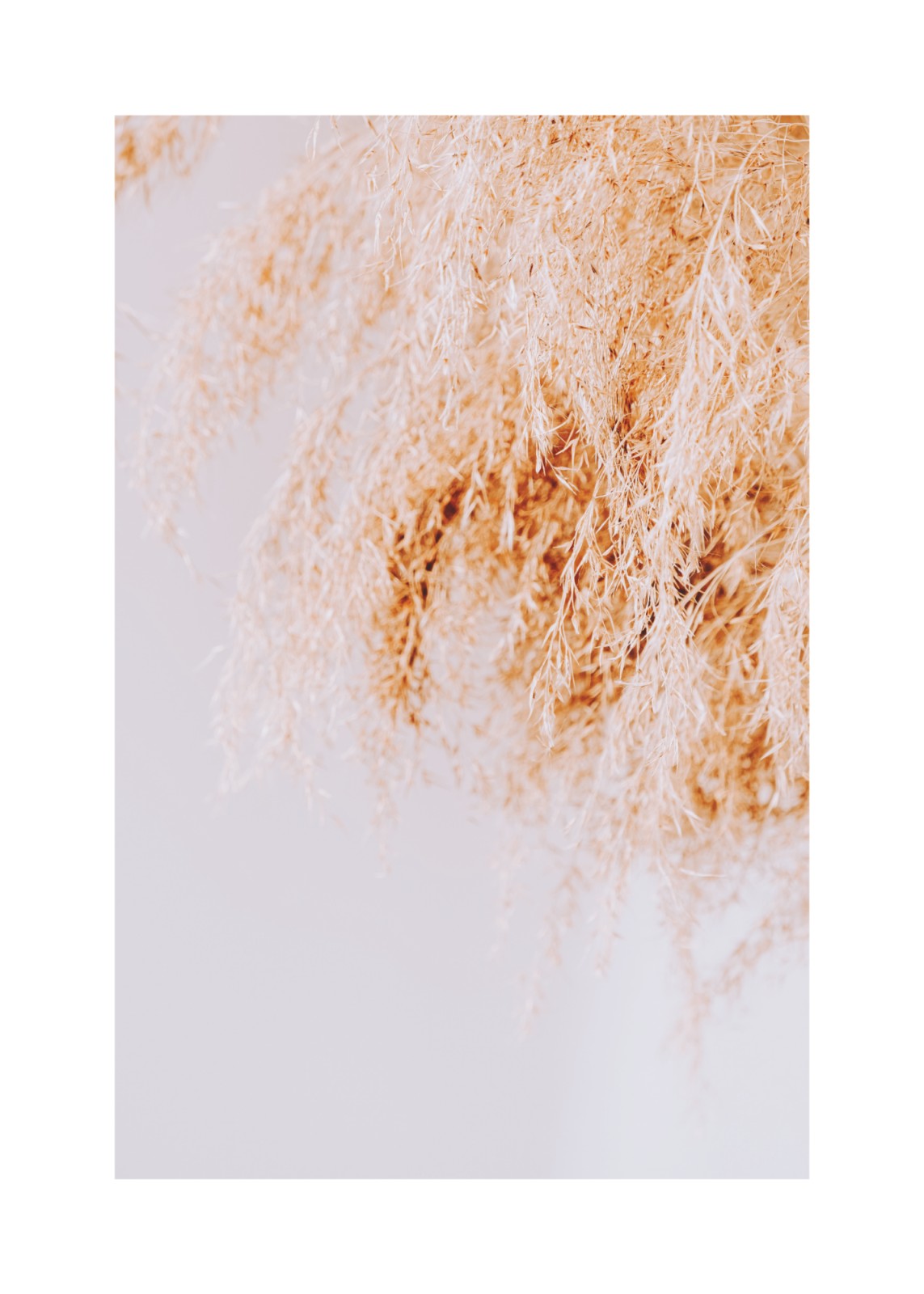 item preview