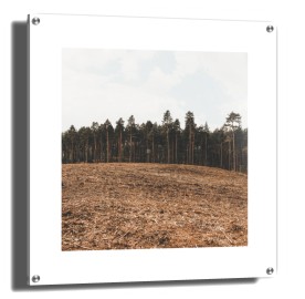 item preview