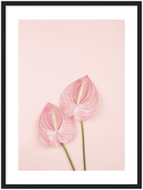 item preview