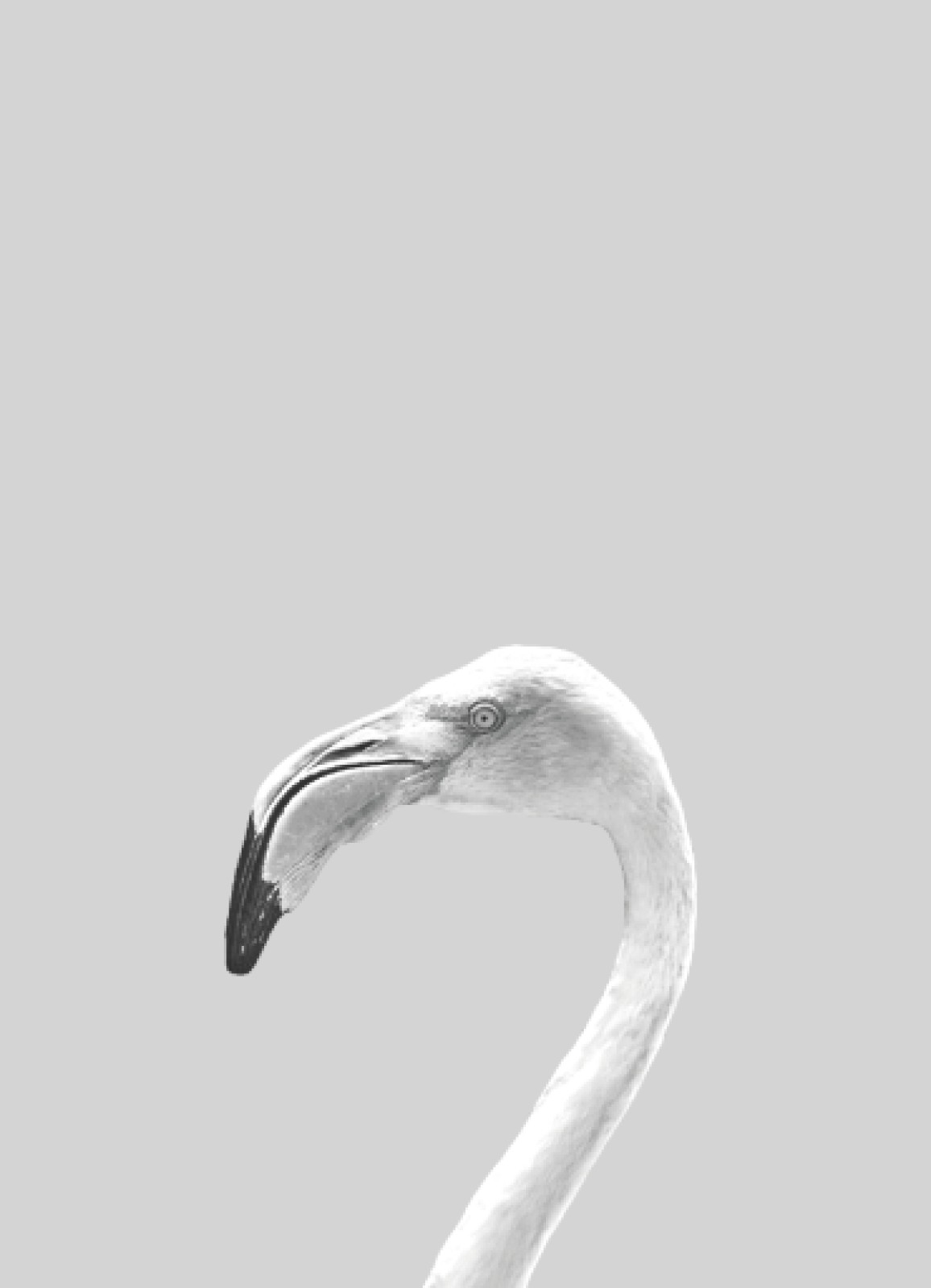 item preview