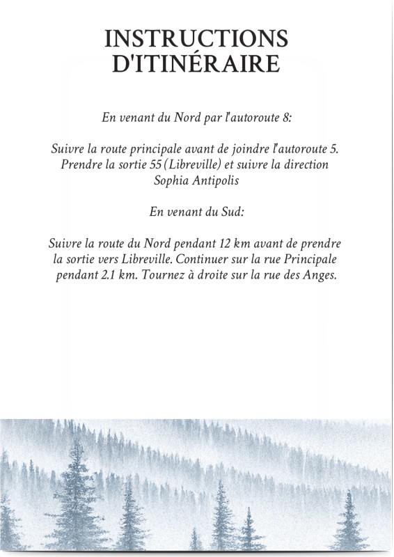 item preview