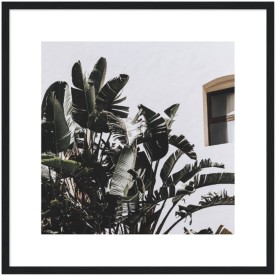item preview