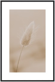 item preview