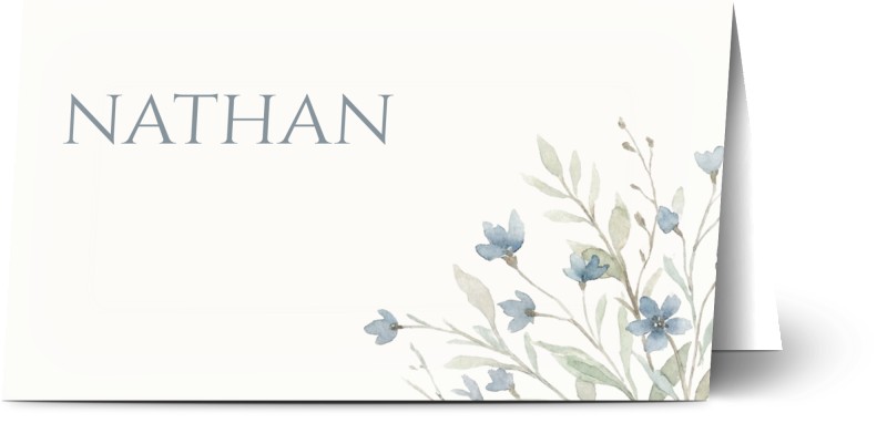item preview