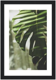 item preview