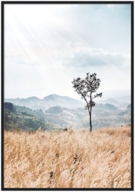 item preview