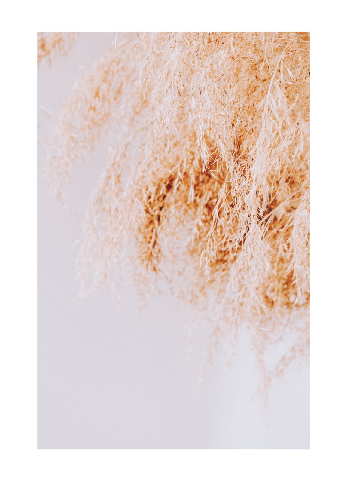 item preview