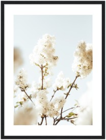 item preview