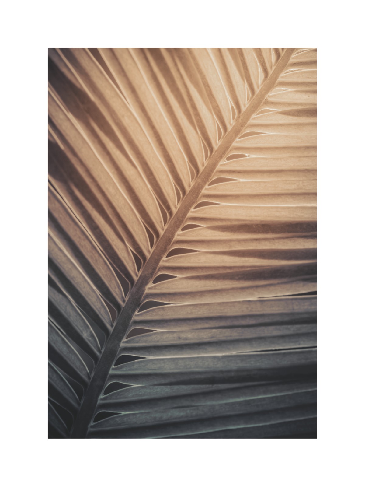 item preview
