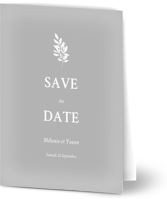 item preview