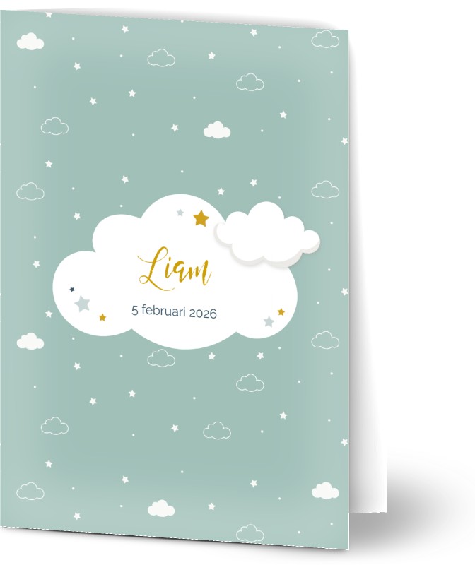item preview