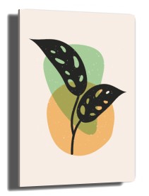 item preview