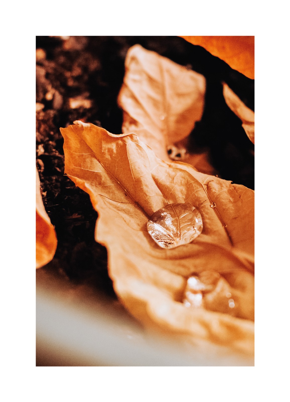 item preview