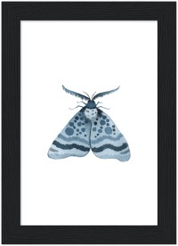 item preview