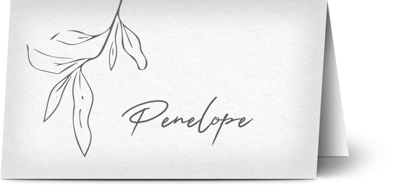 item preview