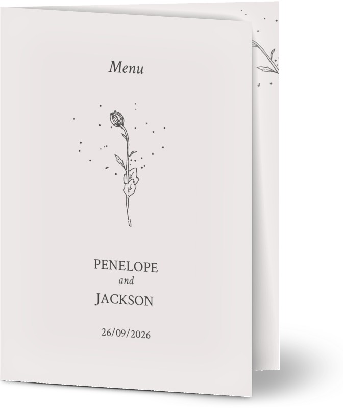 item preview