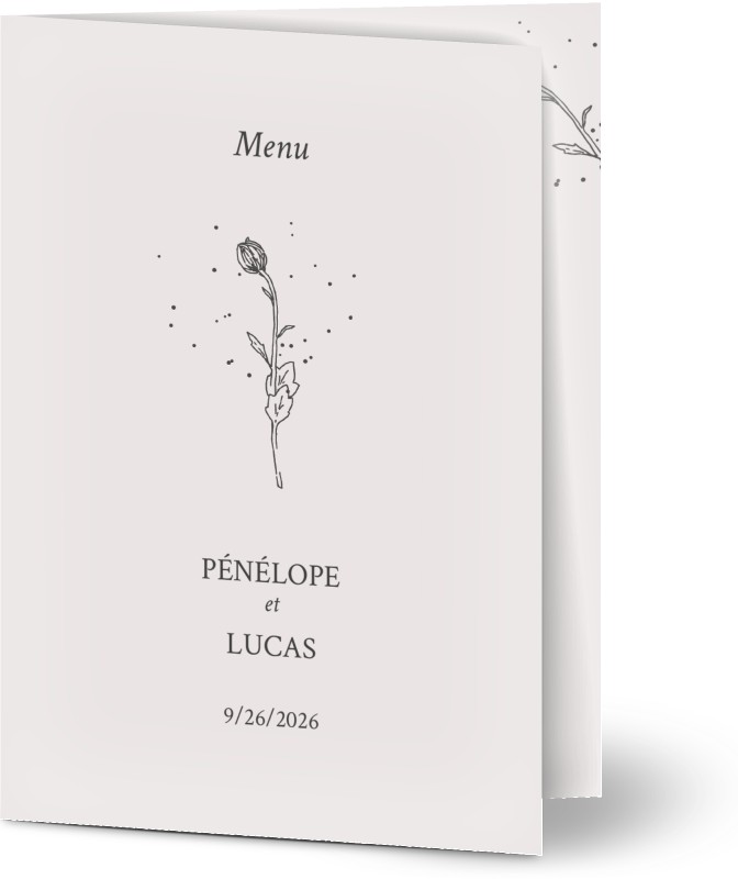 item preview