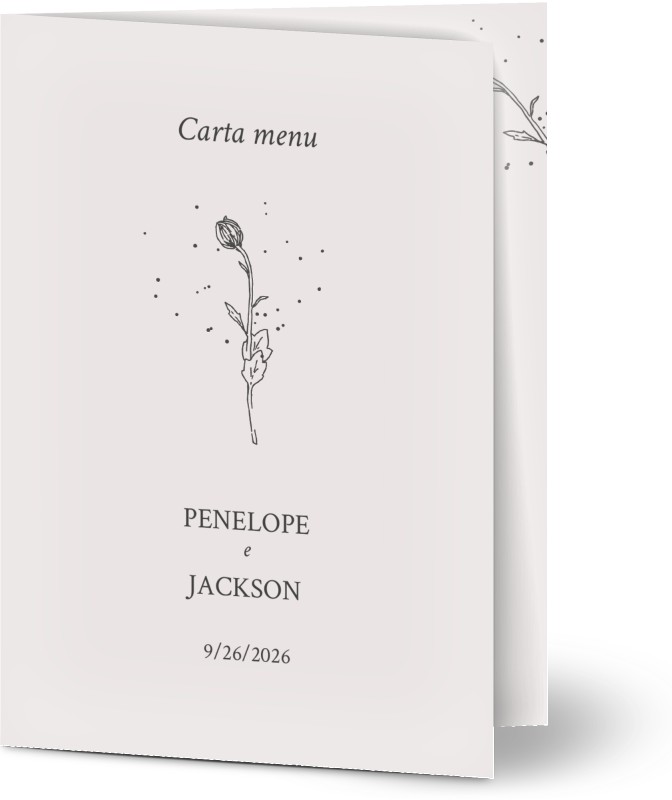 item preview