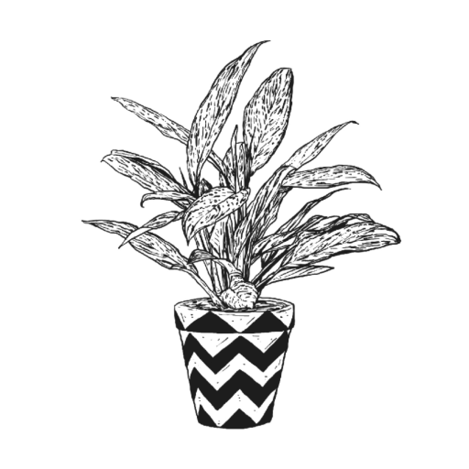 item preview