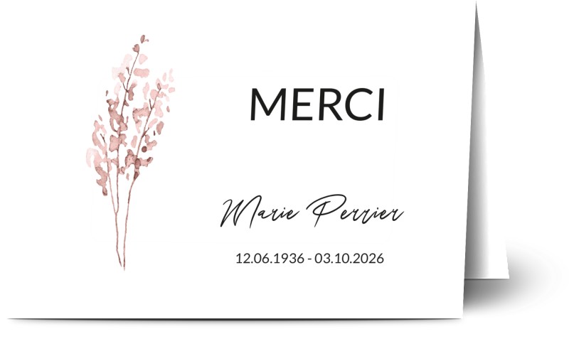item preview