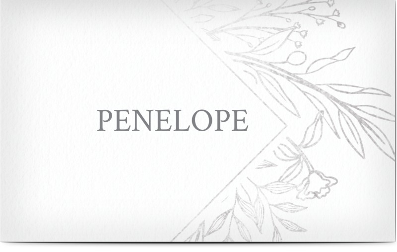 item preview