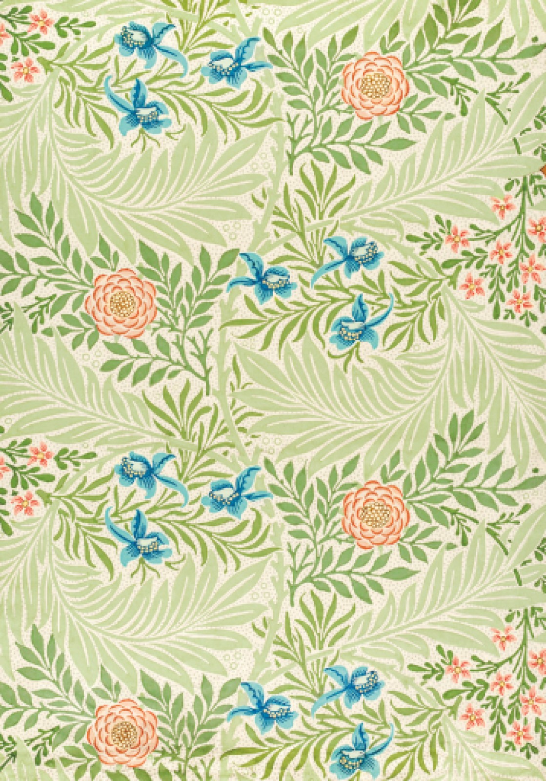 William Morris: Green Tulip & Rose … curated on LTK