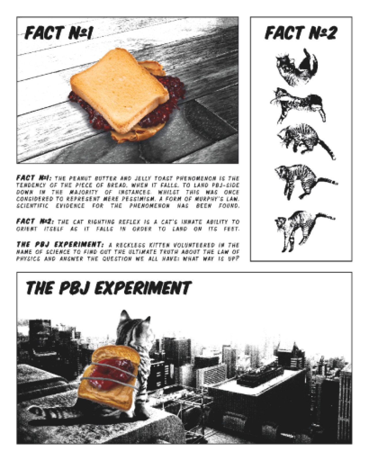 item preview