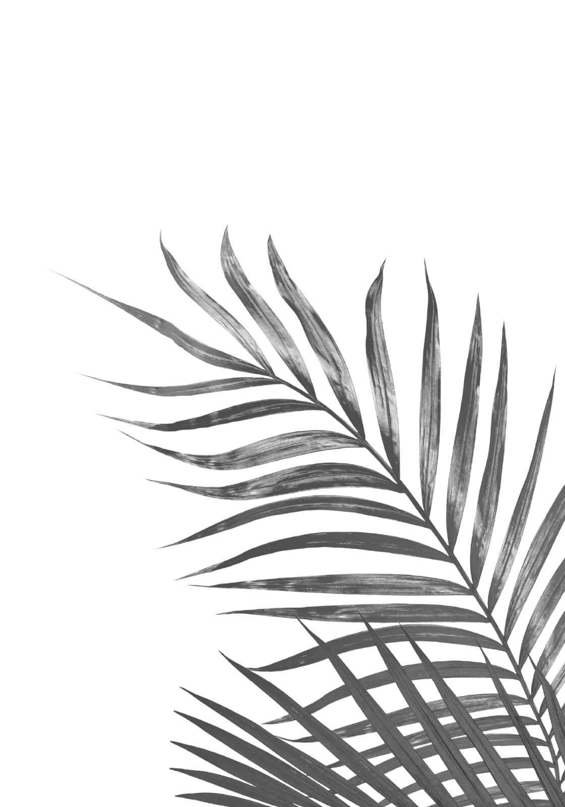 item preview