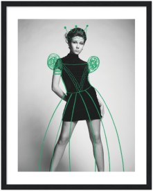 item preview