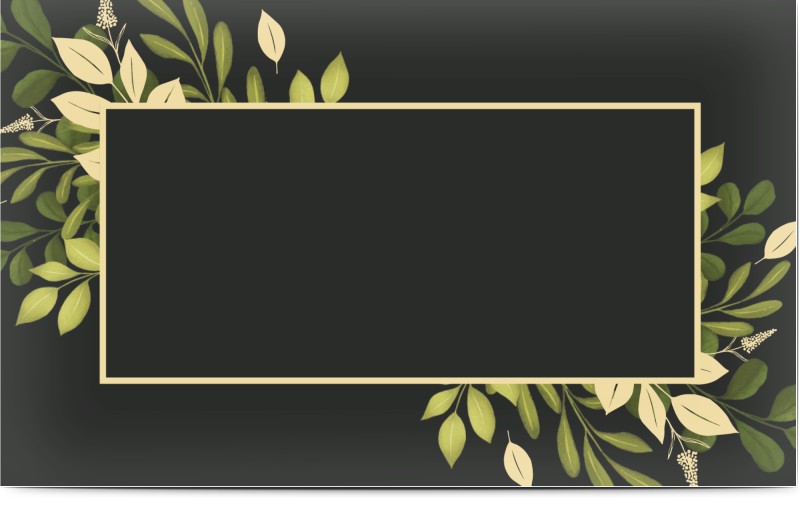 item preview