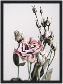 item preview