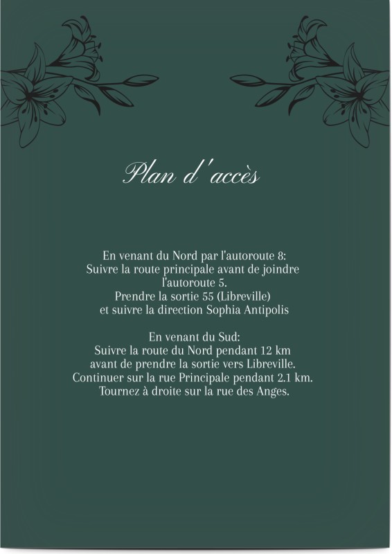 item preview