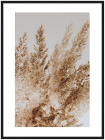 item preview