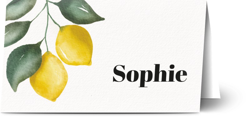 item preview