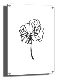 item preview