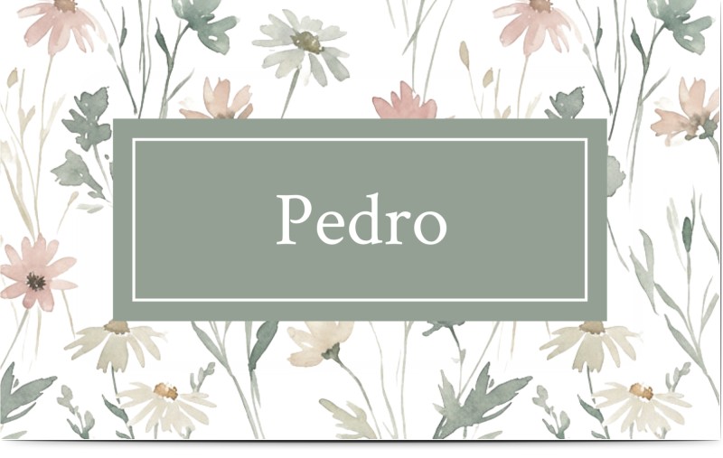 item preview