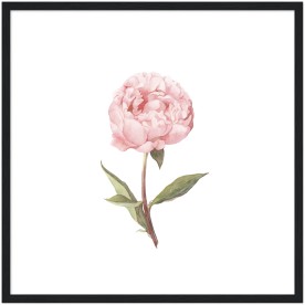item preview