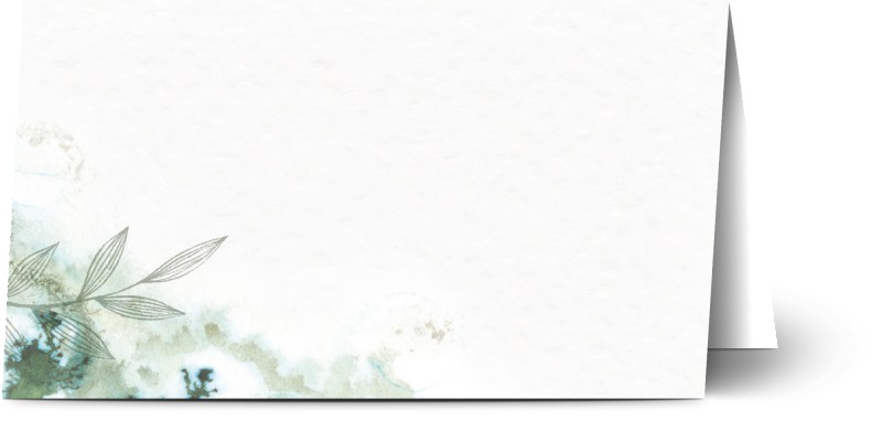 item preview