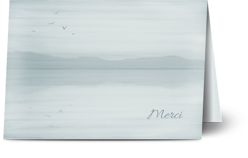 item preview